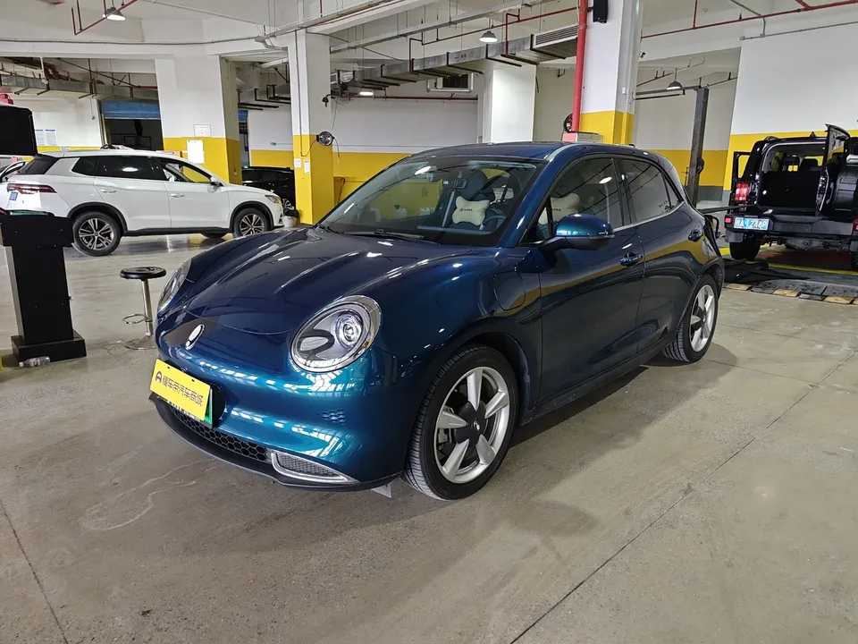 ORA Euler good cat Euler good cat 2023 401km standard endurance premium lithium iron phosphate 2024 — photo 1, buy with delivery to Moscow
