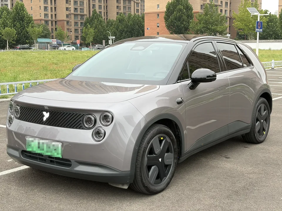 Firefly firefly firefly 2025 Luminous version 2026 — фото 1, купить с доставкой в Москву