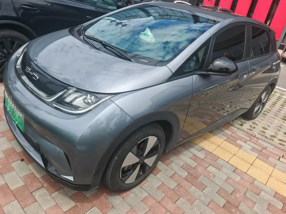 BYD Dolphin dolphin 2023 Free version 2023 — photo 1, buy with delivery to Moscow