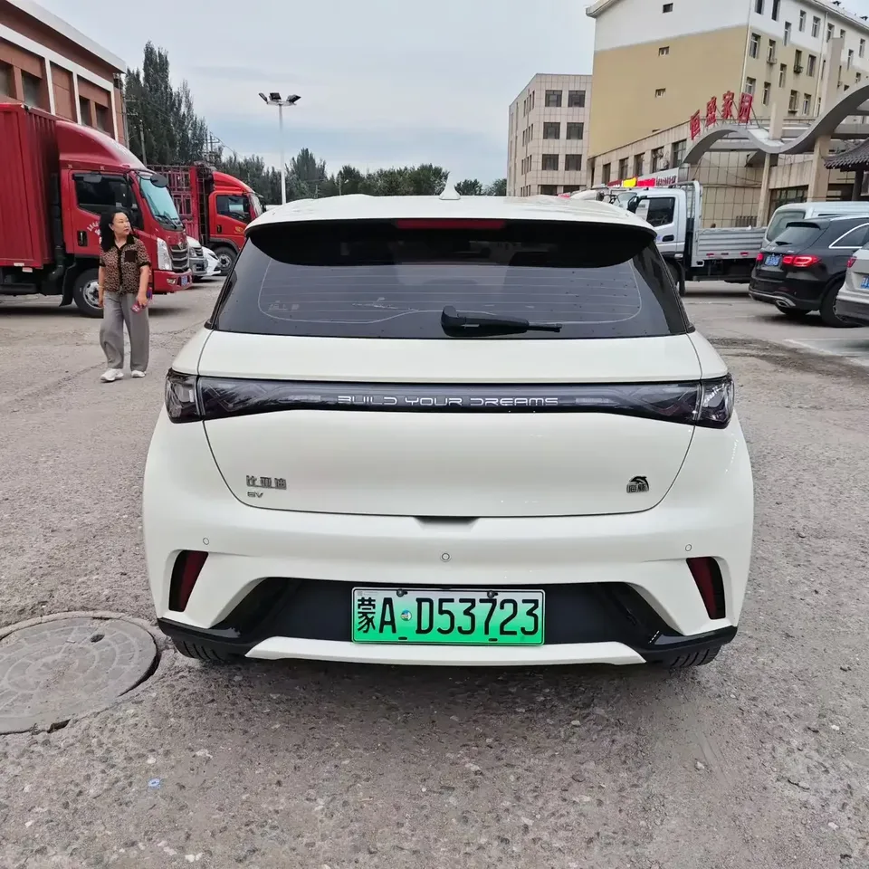 BYD Dolphin dolphin 2023 Free version 2024 — thumbnail 2