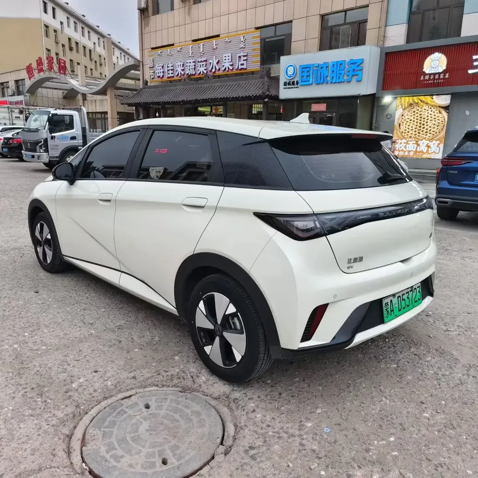 BYD Dolphin dolphin 2023 Free version 2024 — thumbnail 4