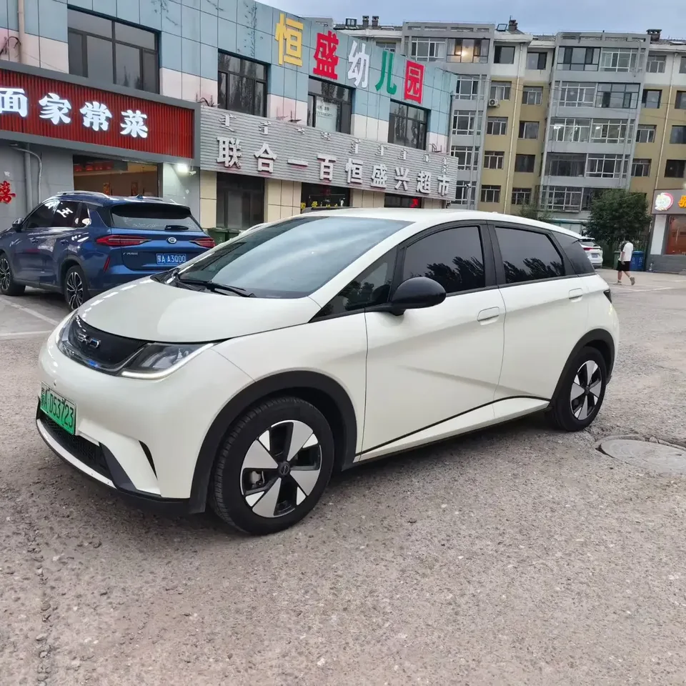 BYD Dolphin dolphin 2023 Free version 2024 — photo 1, buy with delivery to Moscow