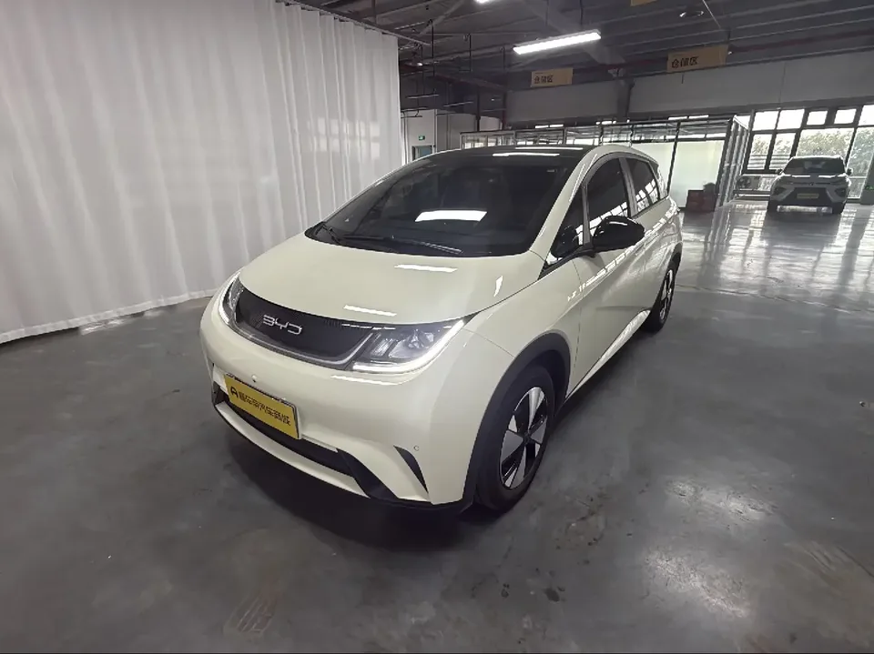 BYD Dolphin dolphin 2023 Fashion version 2024 — photo 1, buy with delivery to Moscow