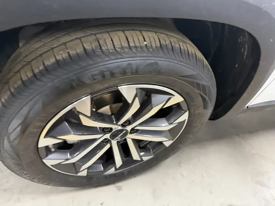 Haval Dargo Harvard dog 2024 1.5T 2WD Border Collie Edition 2025 — миниатюра 3
