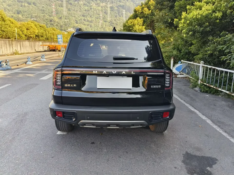 Haval Dargo Harvard dog 2024 1.5T 2WD Border Collie Edition 2024 — thumbnail 2