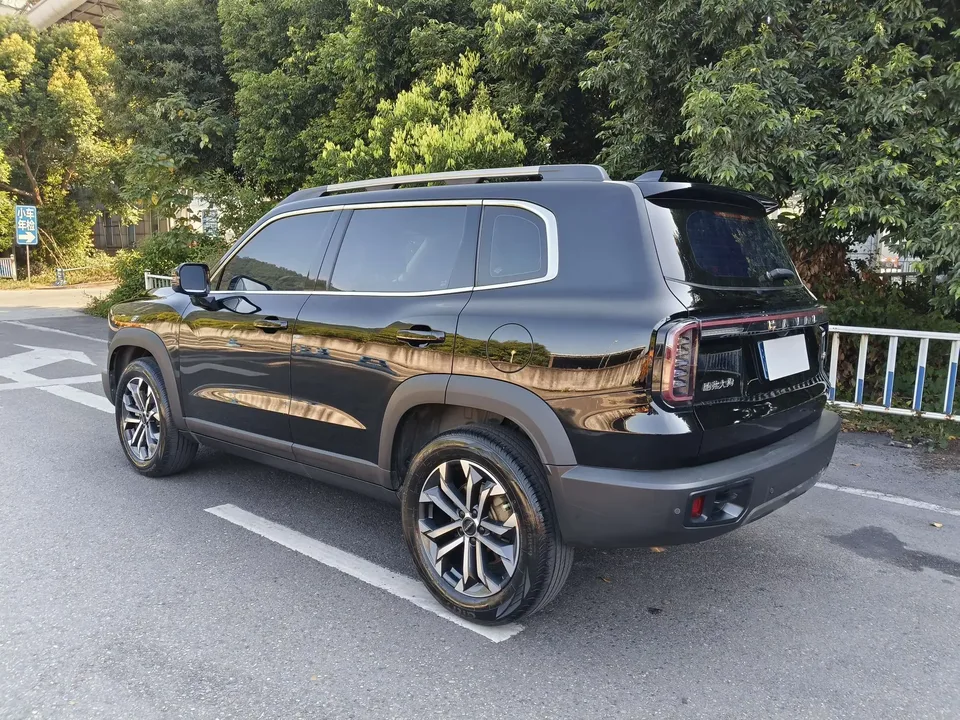 Haval Dargo Harvard dog 2024 1.5T 2WD Border Collie Edition 2024 — thumbnail 4