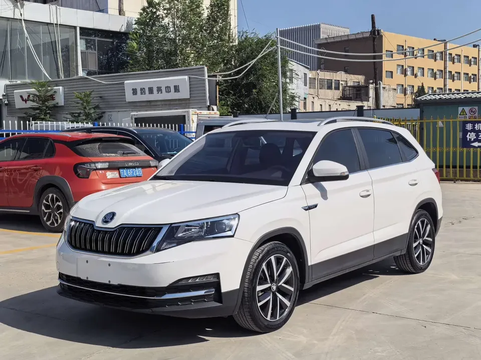 Skoda Comek Comek 2022 1.5L Automatic Comfort Edition 2022 — фото 1, купить с доставкой в Москву
