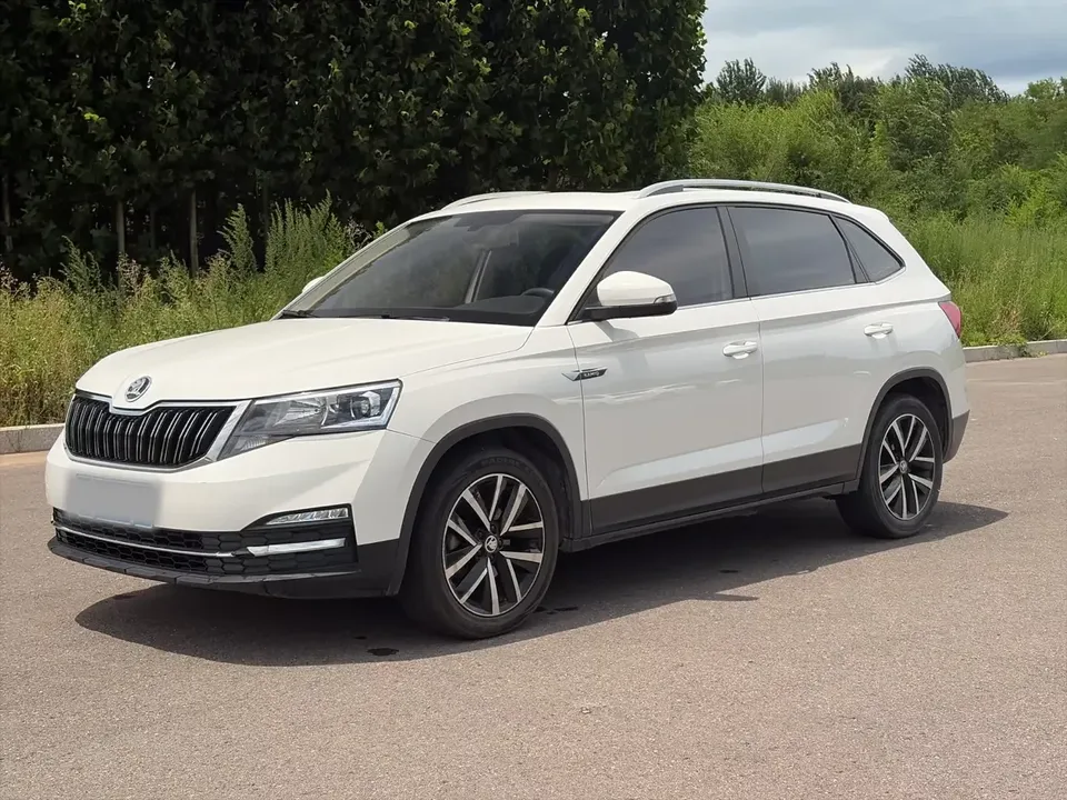Skoda Comek Comek 2022 1.5L Automatic Comfort Edition 2022 — photo 1, buy with delivery to Moscow