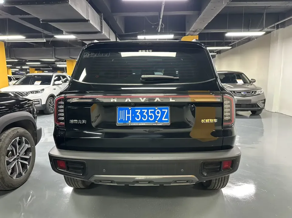 Haval Dargo Harvard dog 2024 1.5T 2WD Border Collie Edition 2023 — thumbnail 2