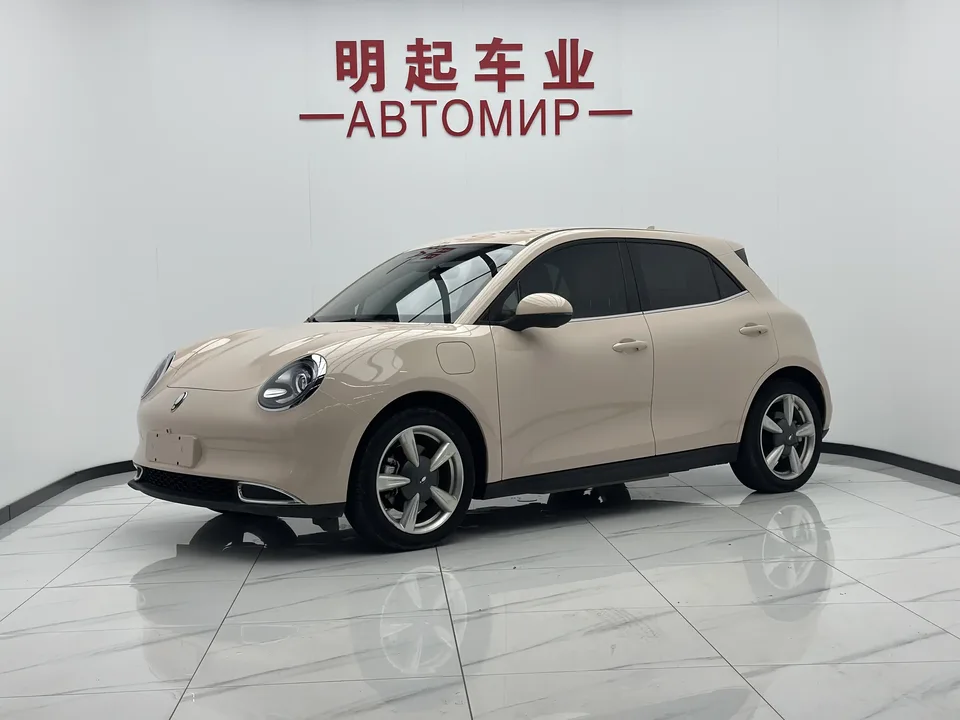 ORA Euler good cat Euler good cat 2023 401km standard endurance luxury lithium iron phosphate 2023 — photo 1, buy with delivery to Moscow