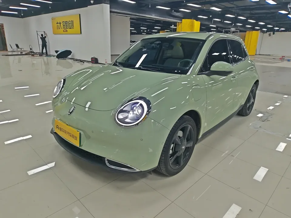 ORA Euler good cat Euler good cat 2024 401km Premium 126kW 2025 — photo 1, buy with delivery to Moscow