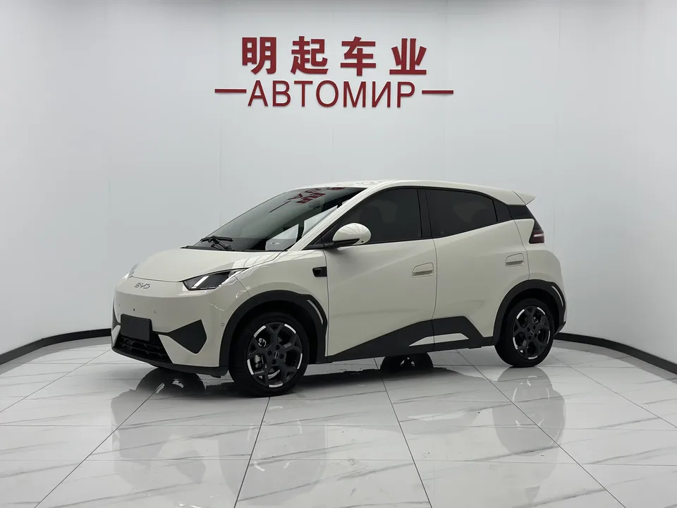 BYD Seagull seagull 2025 Smart Driving Edition 405KM Flying Edition 2025 — photo 1, buy with delivery to Moscow