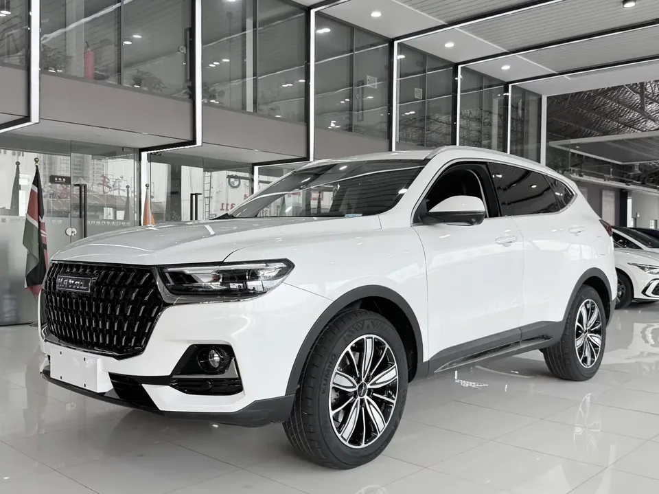 Haval H6 Haval H6 2023 National Trend Edition 1.5T Automatic City Edition 2023 — photo 1, buy with delivery to Moscow