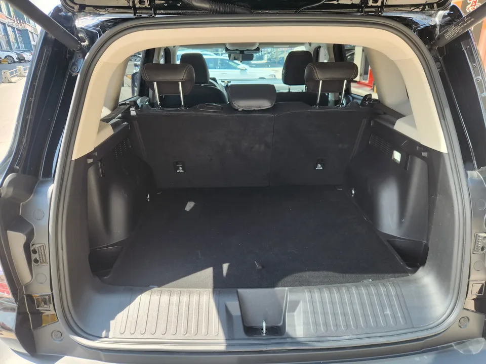 Haval Dargo Harvard dog 2024 1.5T 2WD Border Collie Edition 2025 — thumbnail 3