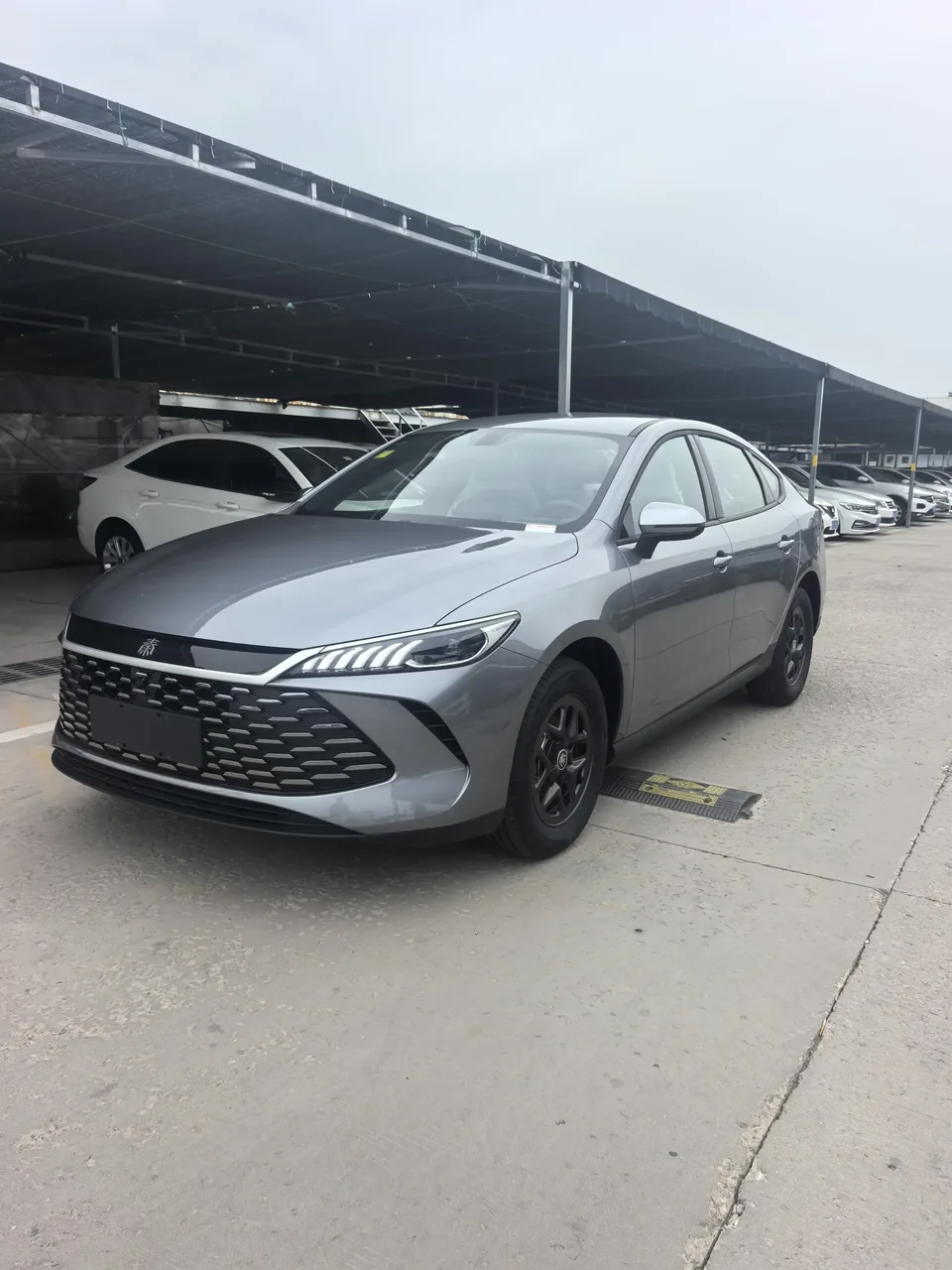 BYD Qin PLUS DM Qin PLUS DM 2026 DM-i 128KM Progressive 2026 — photo 1, buy with delivery to Moscow