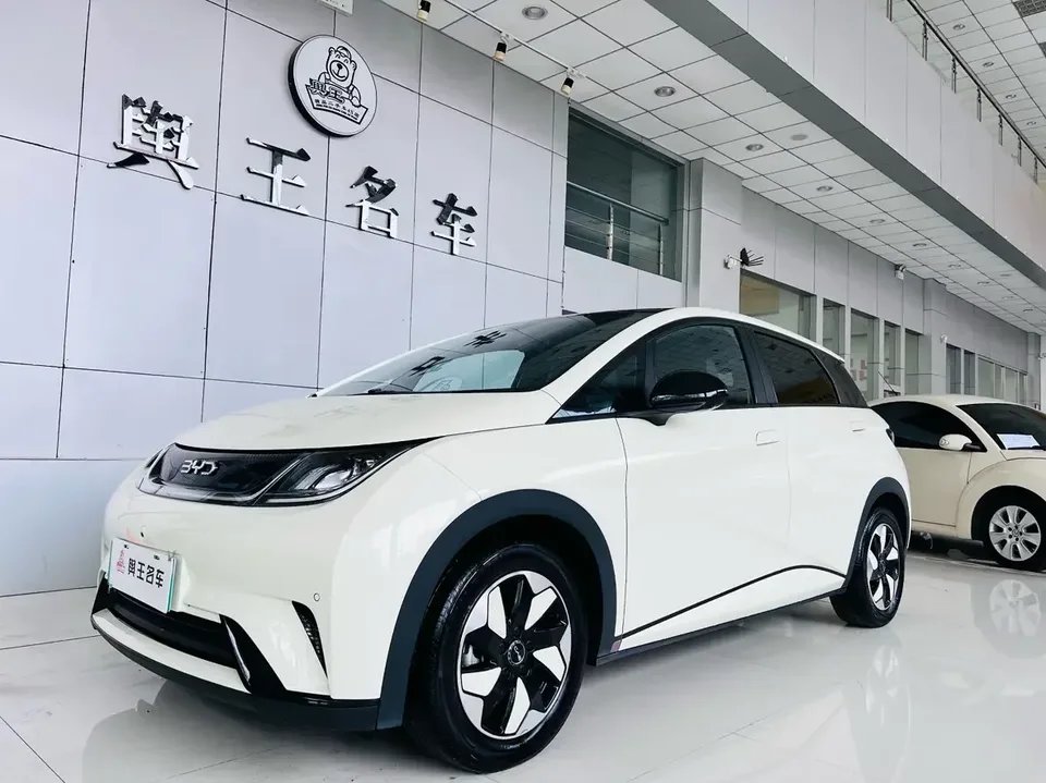 BYD Dolphin dolphin 2024 Honor Edition 420km Fashion Edition 2024 — photo 1, buy with delivery to Moscow