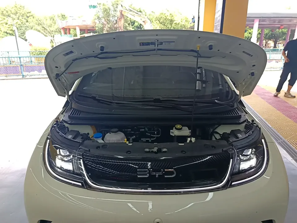 BYD Dolphin dolphin 2025 420KM Free Edition 2026 — миниатюра 5