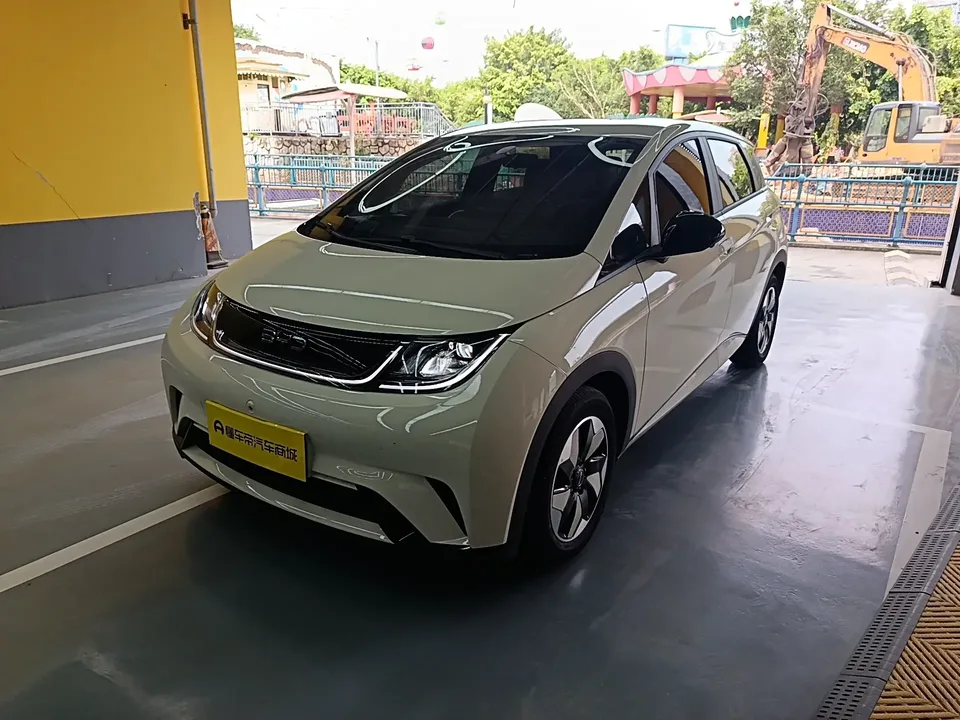 BYD Dolphin dolphin 2025 420KM Free Edition 2026 — фото 1, купить с доставкой в Москву