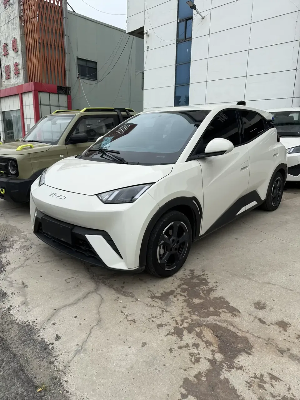 BYD Seagull seagull 2025 Smart Driving Edition 305KM Free Edition 2026 — photo 1, buy with delivery to Moscow