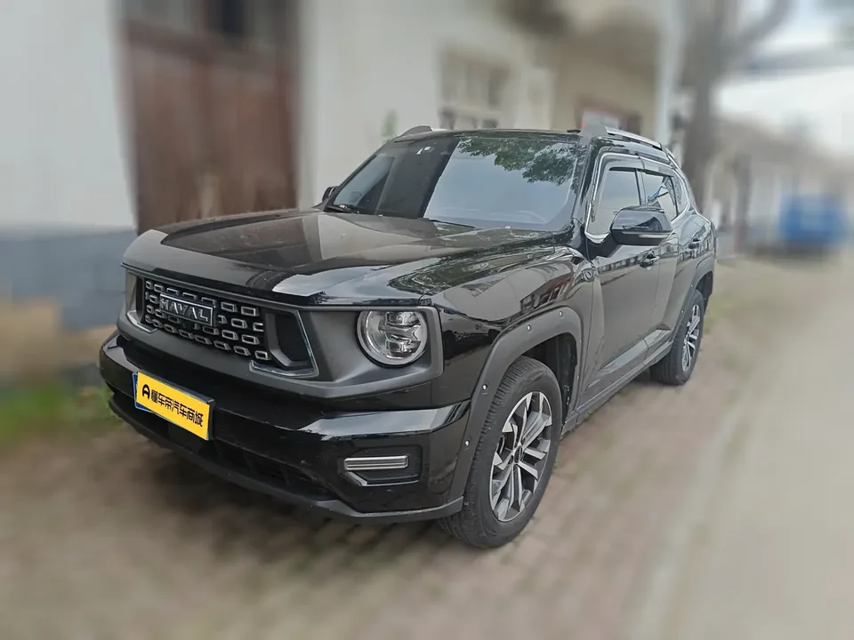 Haval H-Dog Haval Big Dog PLUS 2023 1.5T 2WD Trendy Wild Edition Plus 2024 — photo 1, buy with delivery to Moscow