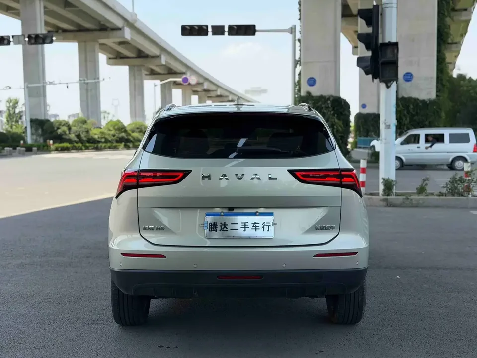 Haval H6 Haval H6 2024 1.5T Automatic 2WD Pro Edition 2024 — thumbnail 2