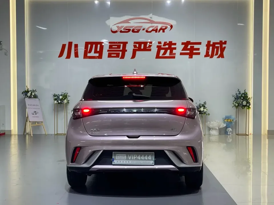 BYD Dolphin dolphin 2024 Glory Edition 420km Freedom Edition 2024 — thumbnail 4