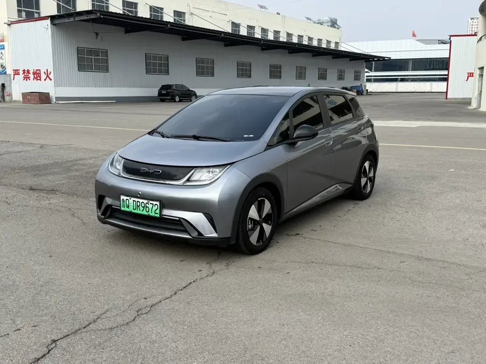BYD Dolphin dolphin 2024 Honor Edition 420km Fashion Edition 2024 — photo 1, buy with delivery to Moscow