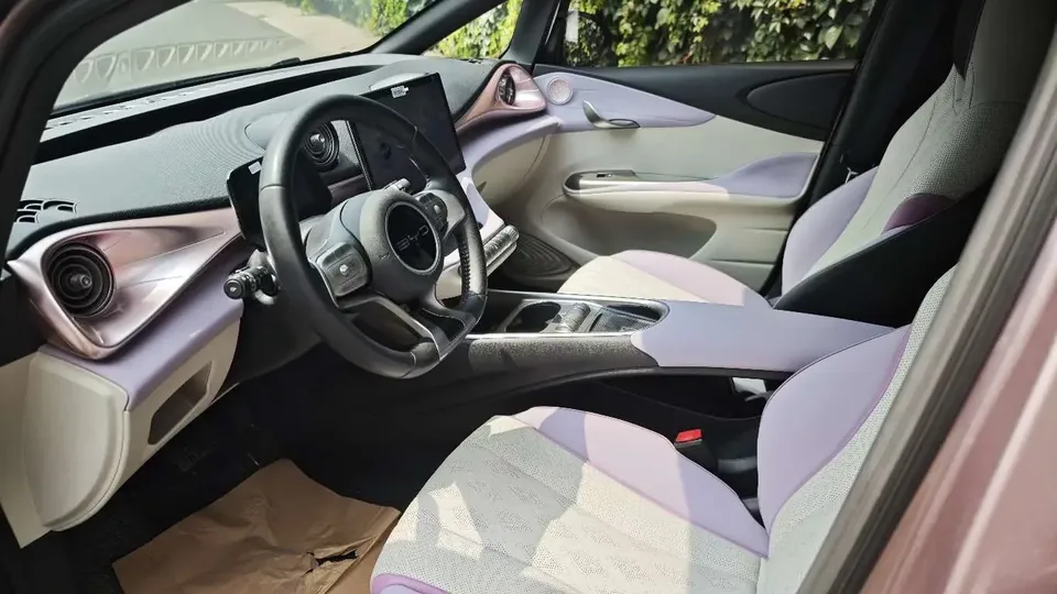 BYD Dolphin dolphin 2024 Glory Edition 401km Knight Edition 2024 — thumbnail 3