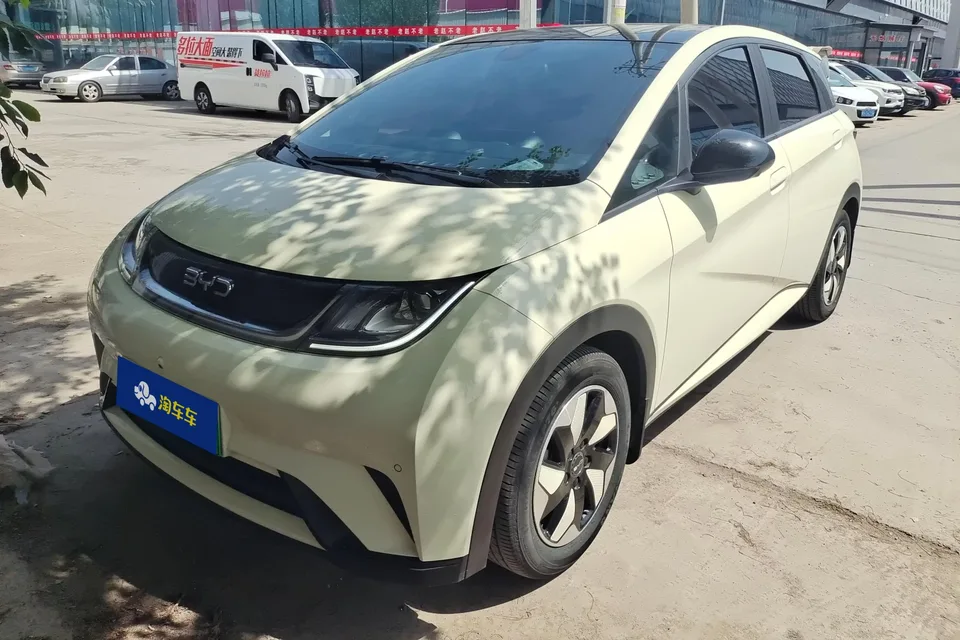 BYD Dolphin dolphin 2024 Honor Edition 420km Fashion Edition 2024 — photo 1, buy with delivery to Moscow