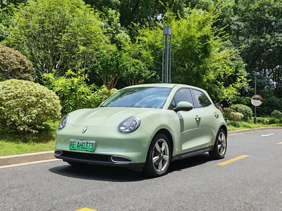 ORA Euler good cat Euler good cat 2023 401km standard endurance luxury lithium iron phosphate 2023 — photo 1, buy with delivery to Moscow