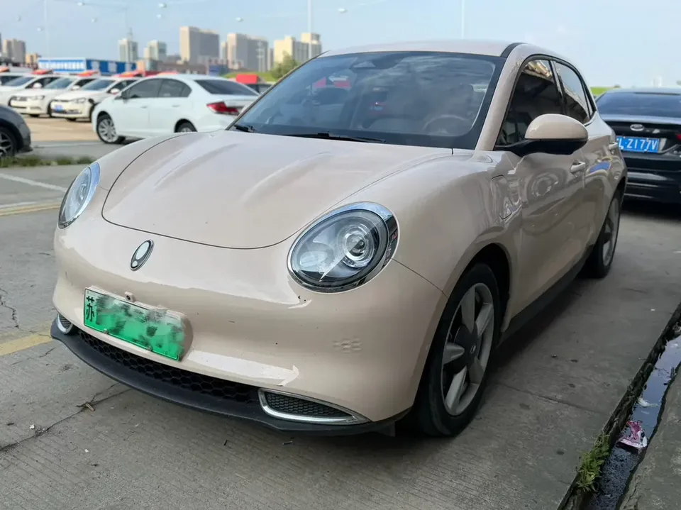 ORA Euler good cat Euler good cat 2023 401km standard endurance comfort type lithium iron phosphate 2023 — photo 1, buy with delivery to Moscow