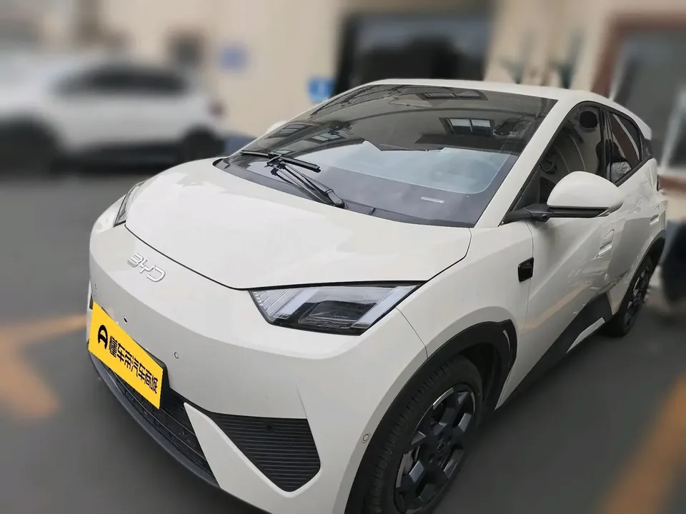 BYD Seagull seagull 2025 Smart Driving Edition 305KM Free Edition 2025 — photo 1, buy with delivery to Moscow