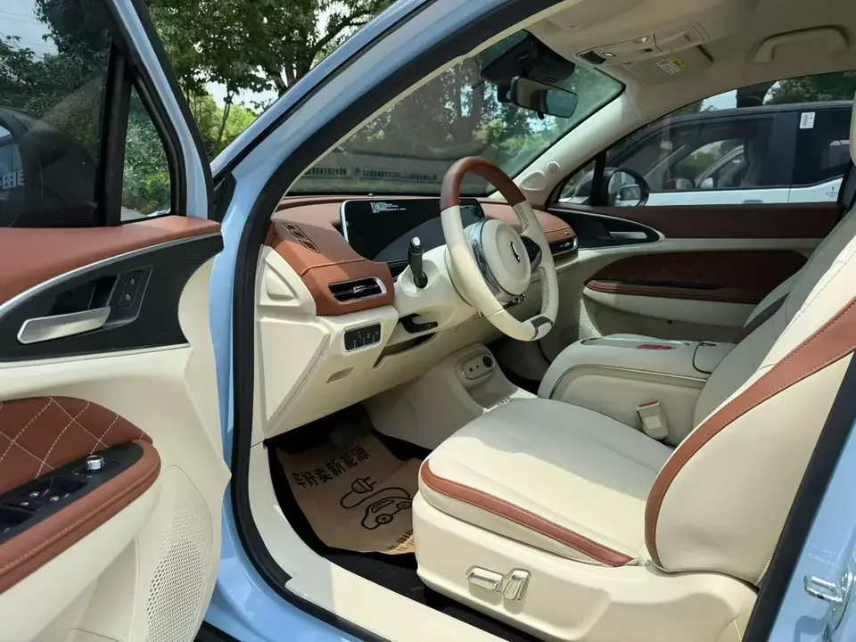 ORA Euler good cat Euler good cat 2023 401km standard endurance luxury lithium iron phosphate 2023 — миниатюра 5