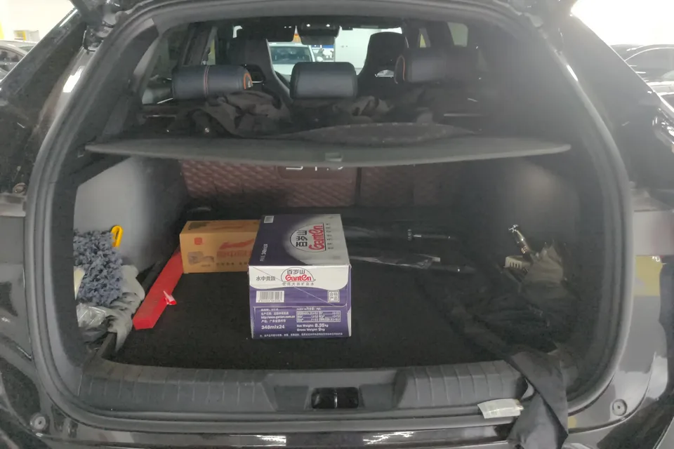 BYD Song PLUS DM Song PLUS DM 2023 DM-i Champion Edition 110KM Flagship PLUS 2024 — миниатюра 5