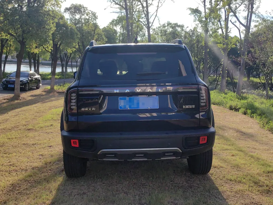 Haval Dargo Harvard dog 2024 1.5T 2WD Border Collie Edition 2023 — thumbnail 5