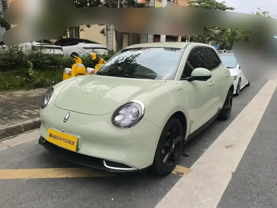 ORA Euler good cat Euler good cat 2024 401km Luxury 2024 — photo 1, buy with delivery to Moscow
