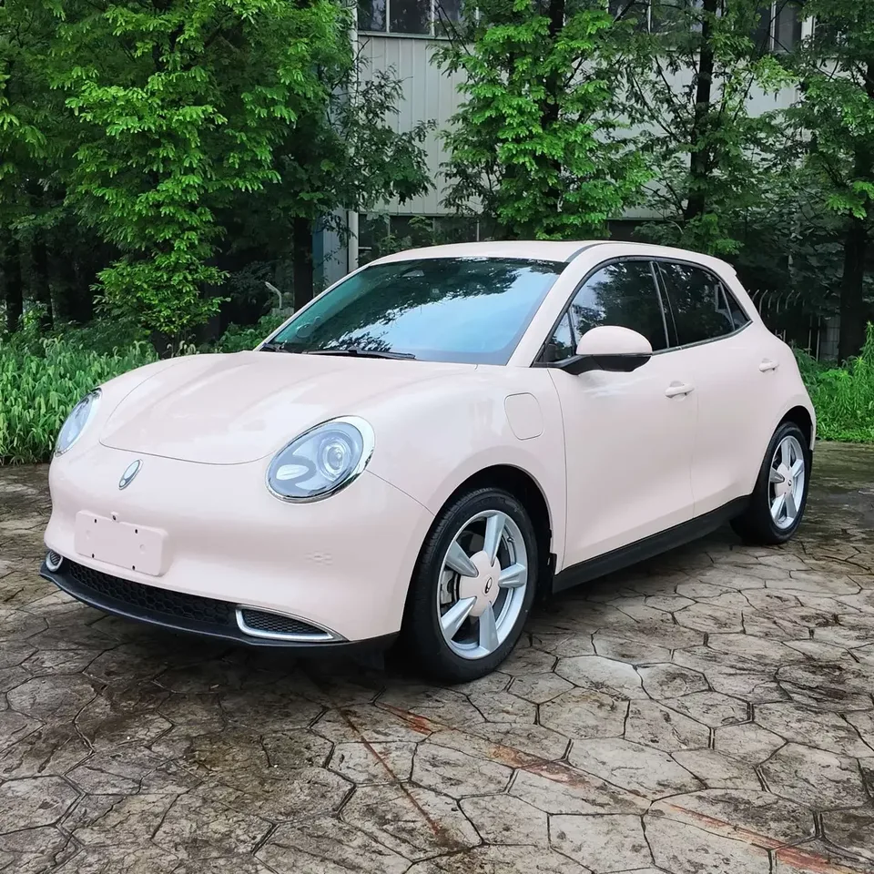 ORA Euler good cat Euler good cat 2023 401km standard endurance premium lithium iron phosphate 2023 — photo 1, buy with delivery to Moscow