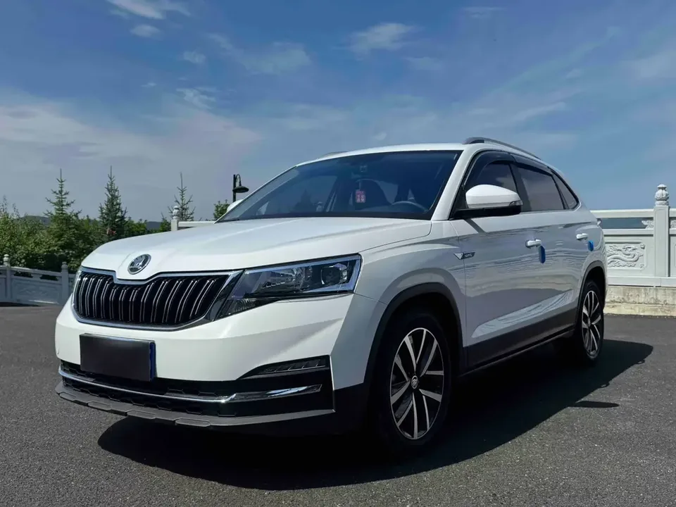 Skoda Comek Comek 2023 Modified 1.5L Automatic Comfort Edition 2023 — photo 1, buy with delivery to Moscow