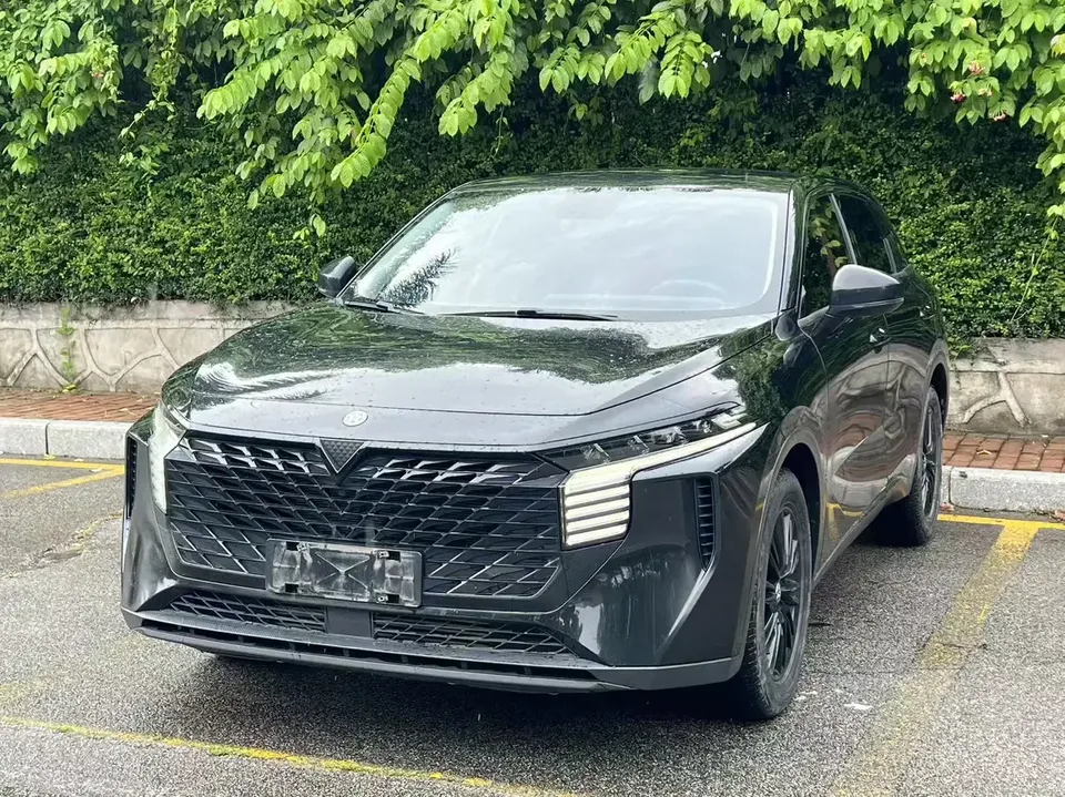 Kai Chen Venucia Big V Venucia Big V 2022 260T King Edition 2023 — photo 1, buy with delivery to Moscow