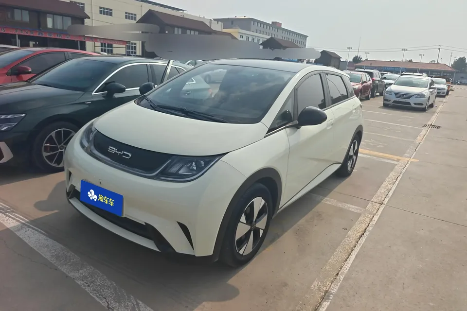 BYD Dolphin dolphin 2023 Fashion version 2023 — photo 1, buy with delivery to Moscow