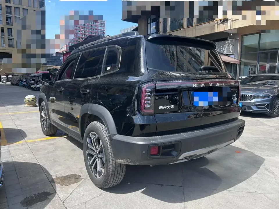 Haval Dargo Harvard dog 2024 1.5T 2WD Labrador Edition 2024 — thumbnail 4