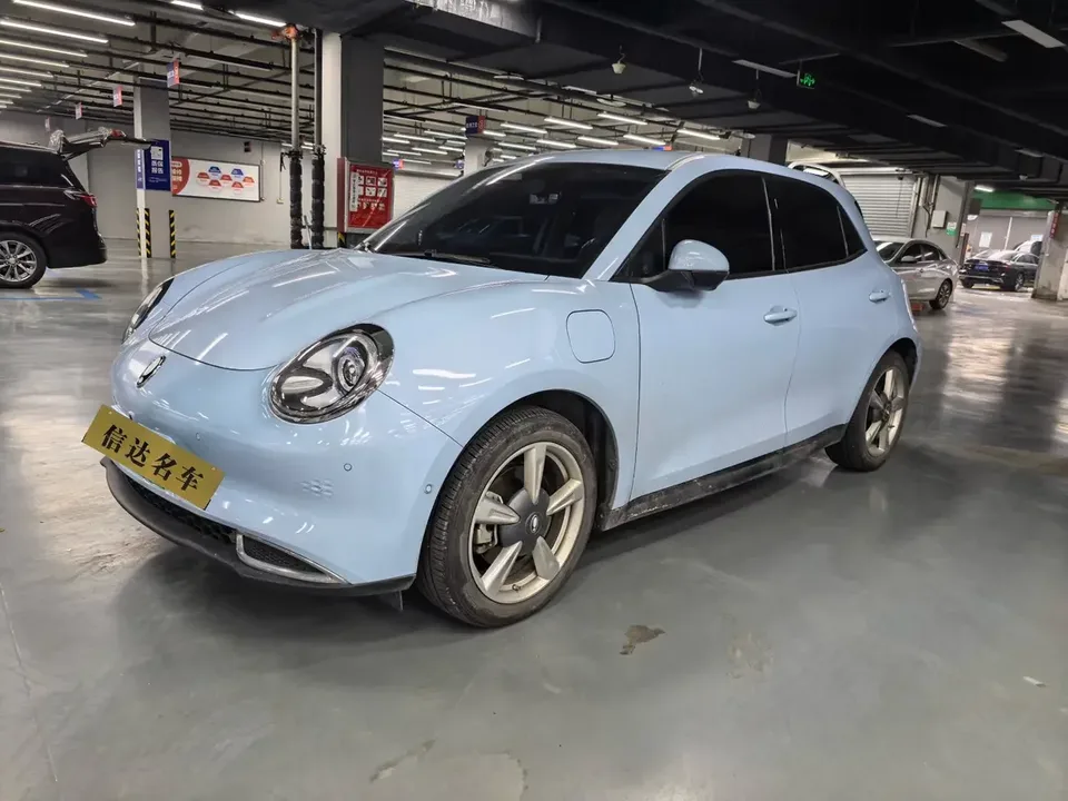ORA Euler good cat Euler good cat 2022 Morandi version 400km standard endurance premium ternary lithium 2022 — photo 1, buy with delivery to Moscow