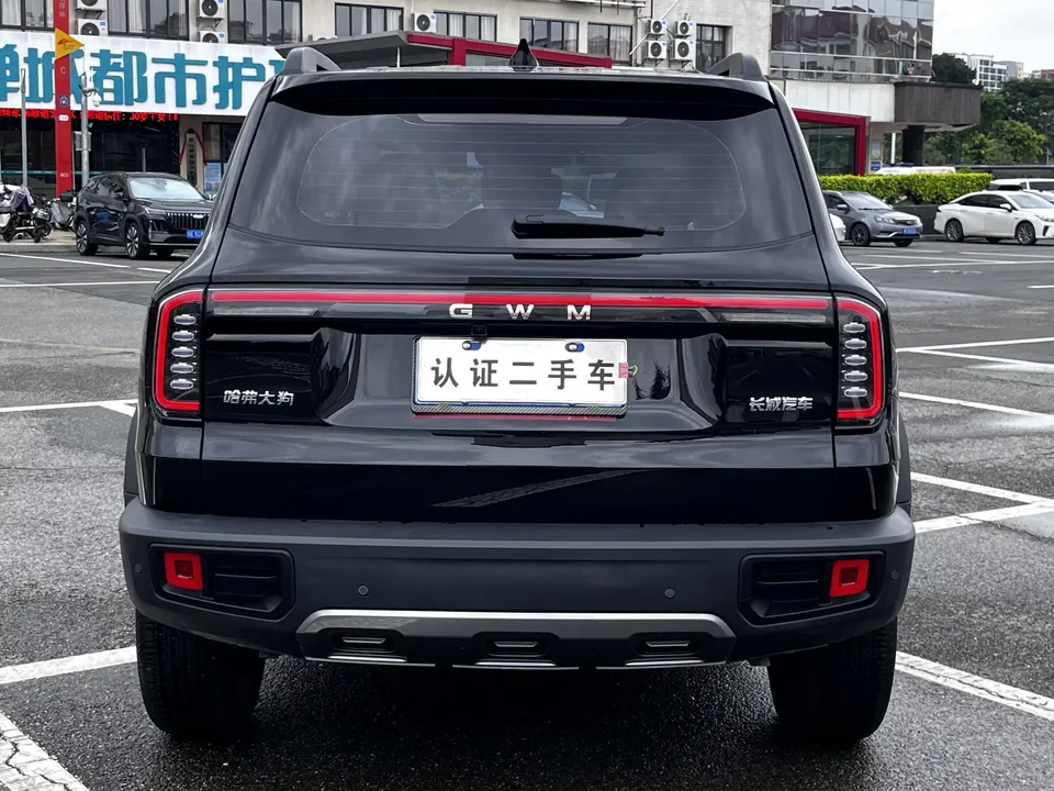 Haval Dargo Harvard dog 2026 1.5T 2WD Border Collie Edition 2026 — thumbnail 2