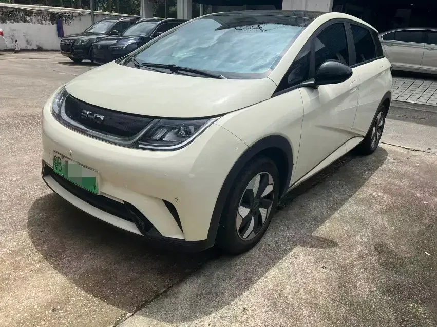 BYD Dolphin dolphin 2024 Honor Edition 420km Fashion Edition 2025 — photo 1, buy with delivery to Moscow