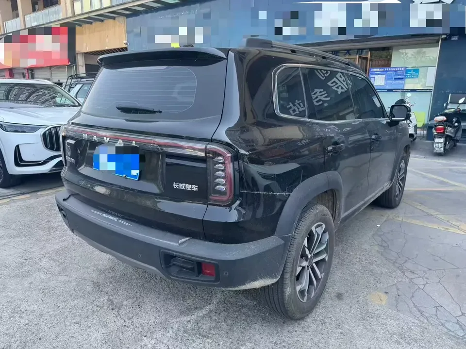 Haval Dargo Harvard dog 2024 1.5T 2WD Border Collie Edition 2024 — thumbnail 2