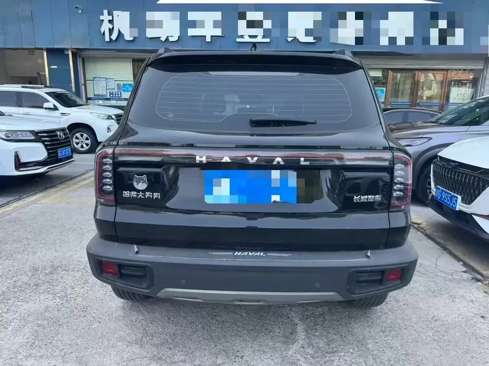Haval Dargo Harvard dog 2024 1.5T 2WD Border Collie Edition 2024 — thumbnail 4