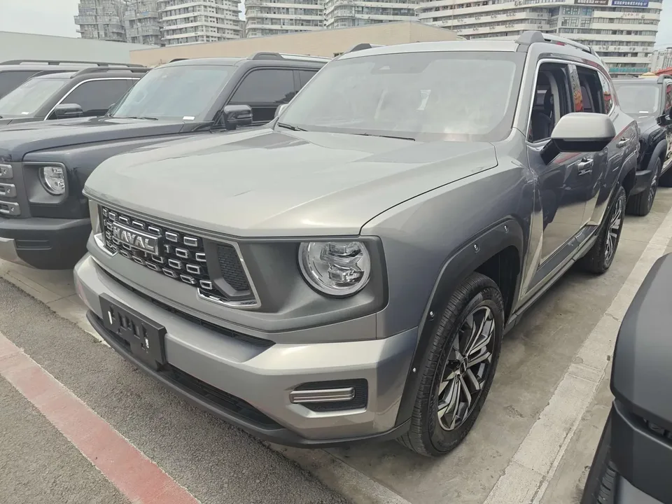 Haval H-Dog Haval Big Dog PLUS 2023 1.5T 2WD Trendy Wild Edition Plus 2024 — photo 1, buy with delivery to Moscow