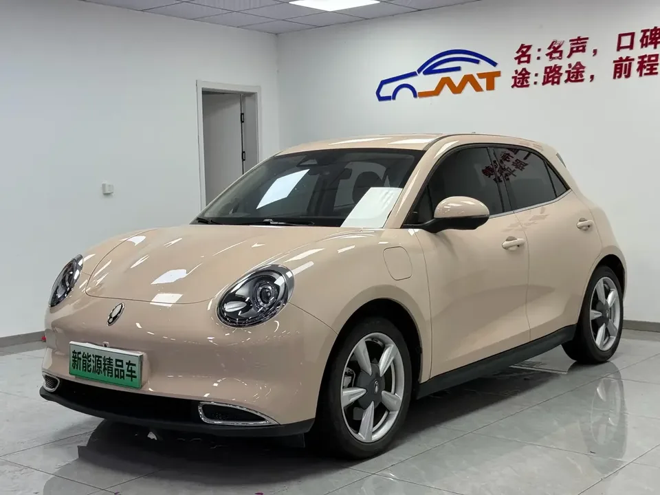 ORA Euler good cat Euler good cat 2023 401km standard endurance comfort type lithium iron phosphate 2023 — photo 1, buy with delivery to Moscow