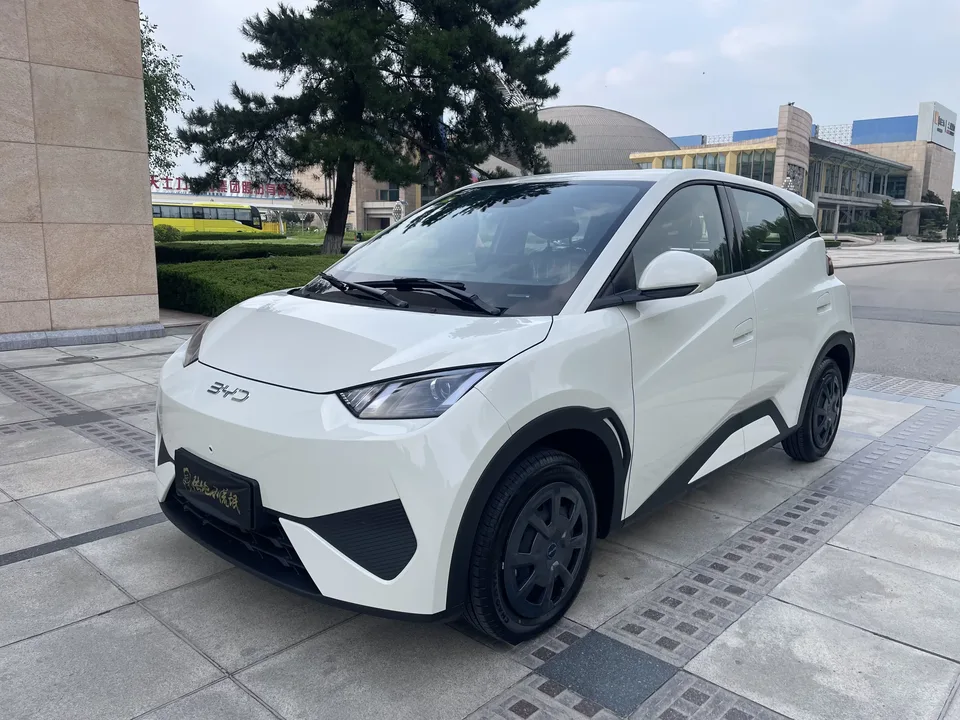 BYD Seagull seagull 2026 Vitality Edition 2026 — photo 1, buy with delivery to Moscow