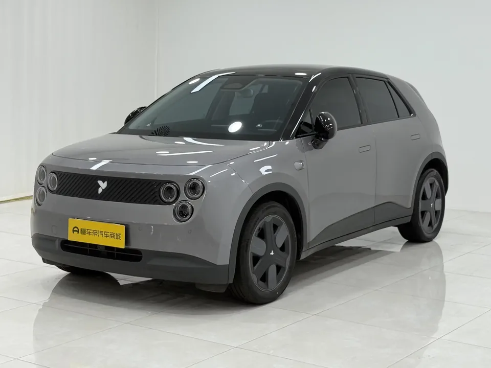 Firefly firefly firefly 2025 Luminous version 2025 — photo 1, buy with delivery to Moscow